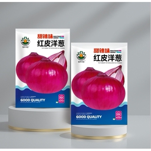 四季红皮洋葱种子特大紫皮圆葱盆栽阳台高产蔬菜种籽早熟耐寒易种
