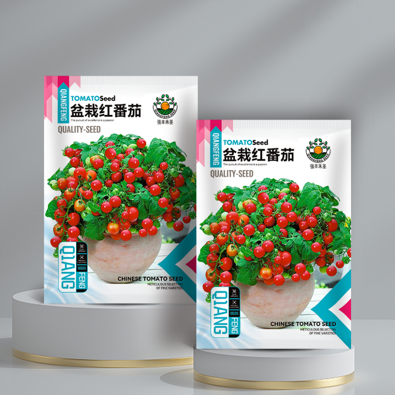 矮生盆栽红番茄种子黄番茄种小西红柿水果蔬菜种子四季播圣女果种