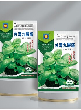 罗勒种子金不换九层塔种籽