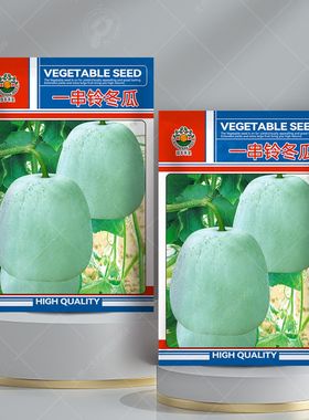 一串铃冬瓜种子籽种高产迷你小冬瓜种籽春秋季四季瓜果蔬菜种孑子