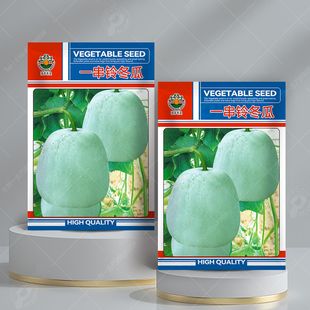 一串铃冬瓜种子籽种高产迷你小冬瓜种籽春秋季四季瓜果蔬菜种孑子