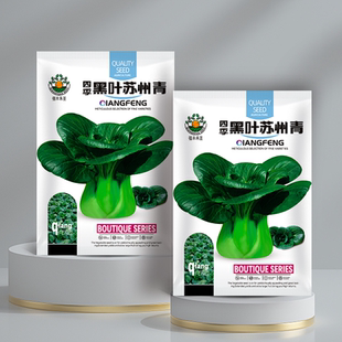 四季黑叶矮脚苏州青种籽上海青菜种子苗大全油菜春夏秋蔬菜孑软糯