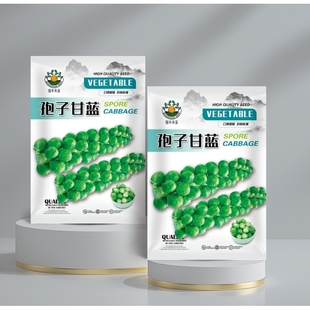 抱子甘藍種子孢子甘藍苗蔬菜種籽紫子小包菜卷心菜包心菜孑蔬菜種