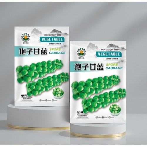 抱子甘蓝种子孢子甘蓝苗蔬菜种籽紫子小包菜卷心菜包心菜孑蔬菜种