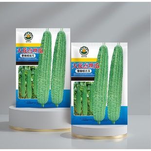 大花点棱丝瓜长棱丝瓜蔬菜种孑特嫩香八角花点大肉棱角丝瓜种子