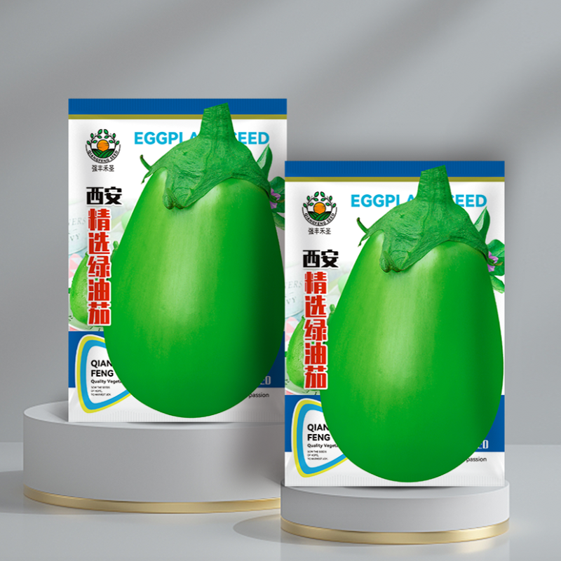 绿油茄子茄子种子丰产四季播种青茄子绿灌茄子种子农家绿皮大茄子