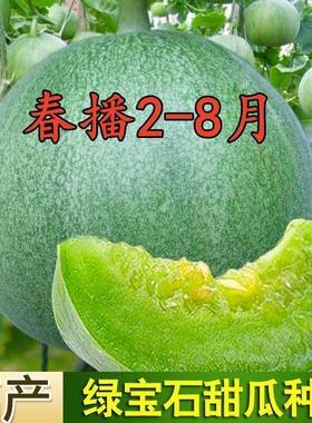 宝石甜瓜种籽绿色甜宝蜜薄皮香瓜种子耐热水果阳台庭院春夏种孑籽