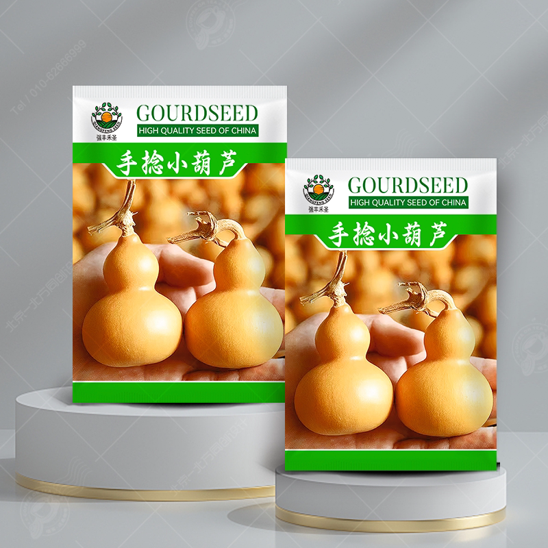 手捻小葫芦籽种四季观赏葫芦种子阳台庭院爬藤文玩葫芦盆栽植物
