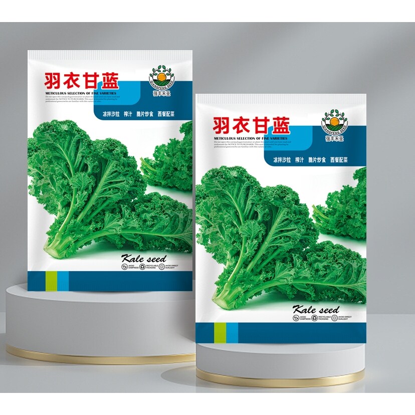 羽衣甘蓝种籽春秋种食用沙拉甘蓝家庭园艺种子
