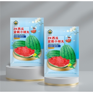 2k西瓜小糖丸红瓤小西瓜种籽阳台盆地栽薄皮无籽夏季水果种子正品
