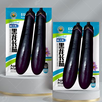黑又亮黑龙长茄子 大田菜地田园种植高蔬菜易种植肉厚产茄子籽