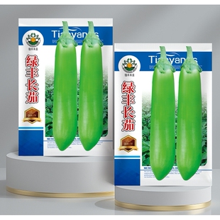 绿茄种子高产四季青茄子种籽水果绿罐茄耐寒春季菜种子蔬菜种子