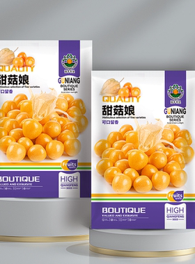 黄菇娘种子阳台盆栽水果阳台庭院庭院黄姑娘香甜菠萝果可口留香