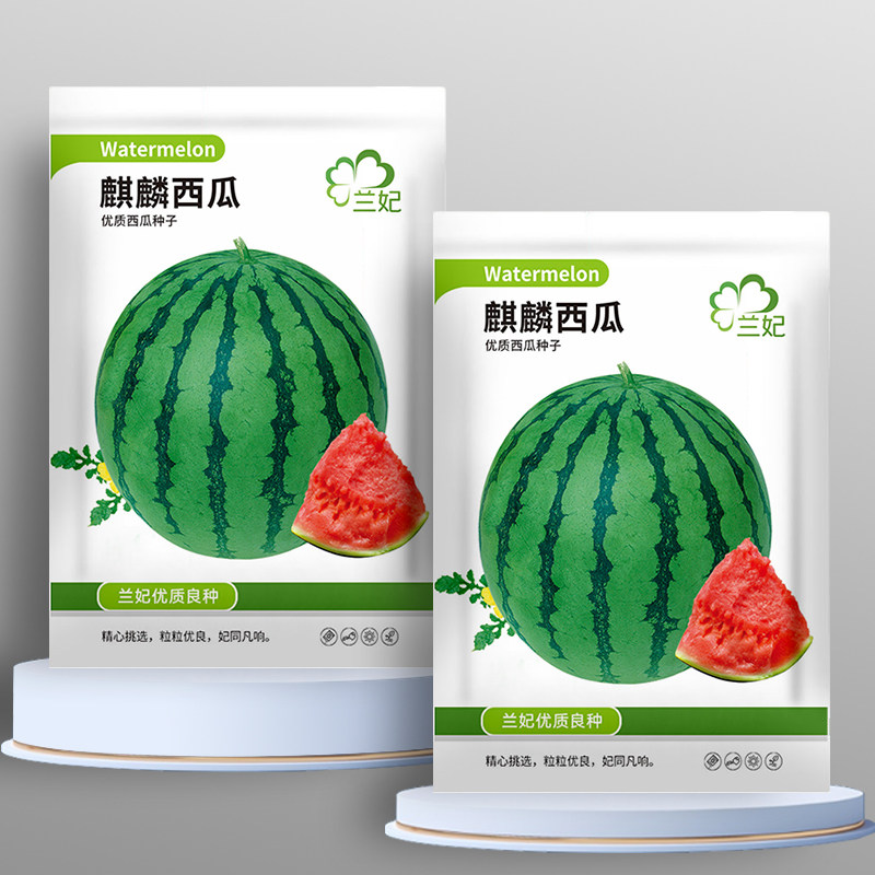 正品冰糖麒麟西瓜种籽南方无籽高产大西瓜四季西瓜8424甜瓜种子孑