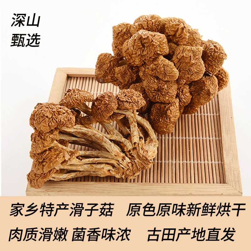 滑子菇250g干货 滑子蘑菇干福建古田特产菇食用菌新鲜滑菇干锅食