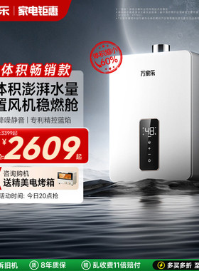 万家乐RS20小体积尺寸燃气热水器伺服恒温家用天然气静音