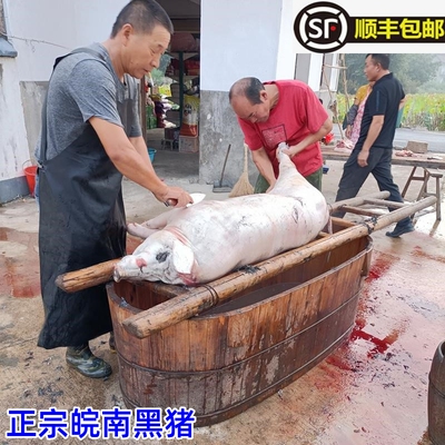 皖南黑猪农户散养土猪新鲜现杀
