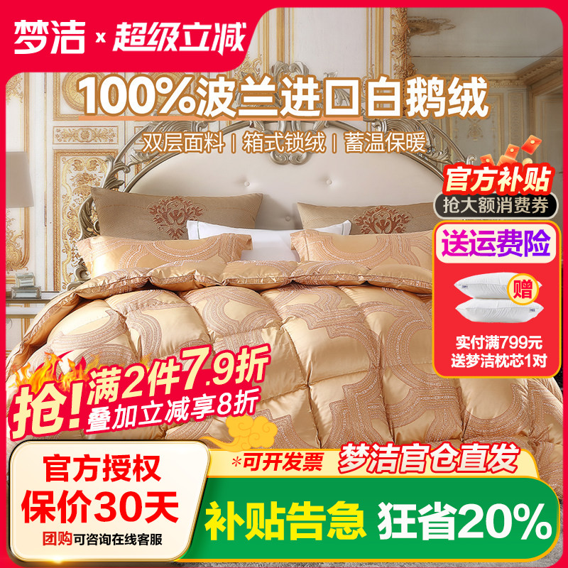 加厚保暖单双人波兰羽绒被子