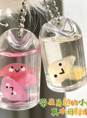 真水母挂件彩色标本饰品新奇礼物