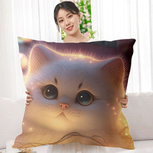 抱枕沙发客厅可爱卡通猫咪靠垫办公室汽车护腰靠背枕头套卧室午睡