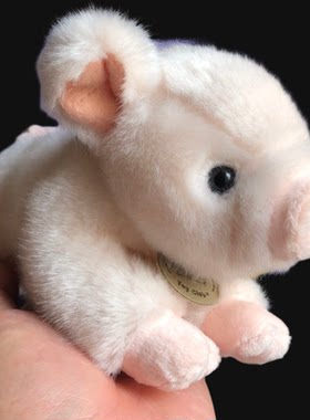正版toyclub粉色公仔可爱小猪猪