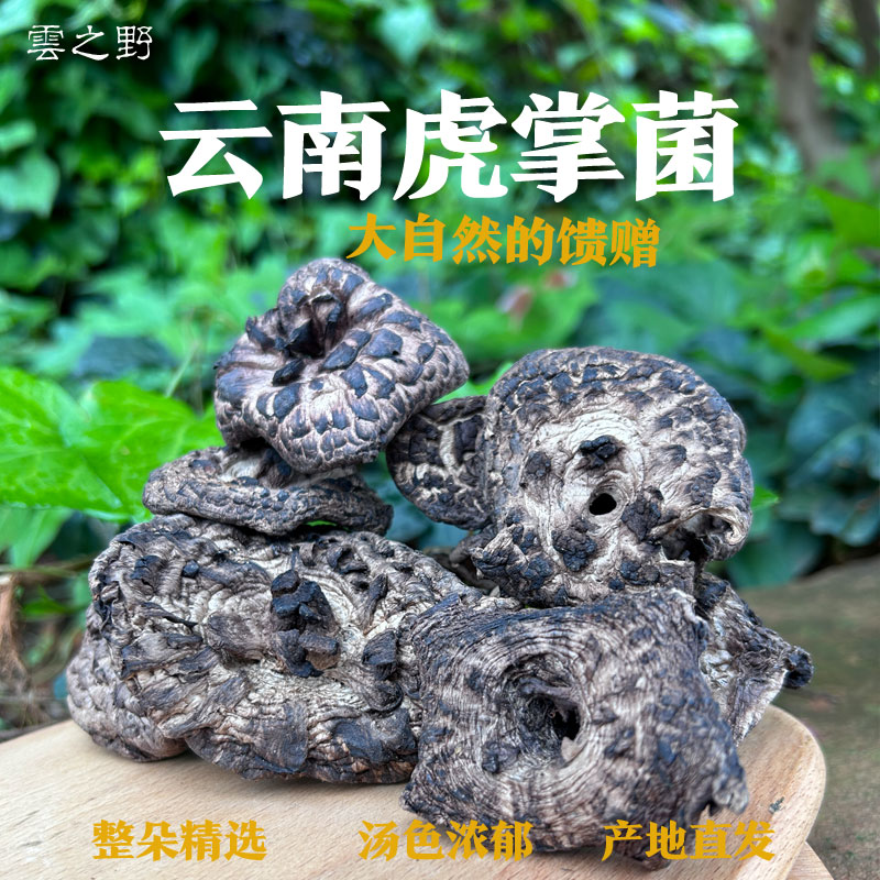 云南野生虎掌菌干品农产品土特产香菇类干货食用菌蘑菇