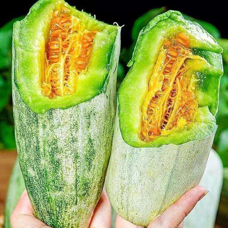 绝了!脆甜多汁的羊角蜜甜瓜吃一次就爱上了,喜欢吃的不要错过