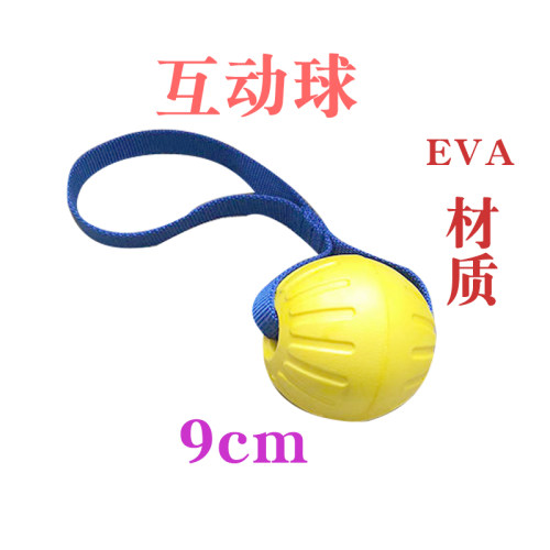 训犬互动解压磨牙球狗玩具实芯耐咬EVA益智马犬金毛拉布拉多德牧
