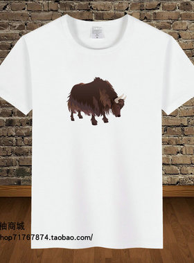 国潮风夏季新款藏服男宽松复古藏族服装男t恤衣服潮流藏文梵文t04