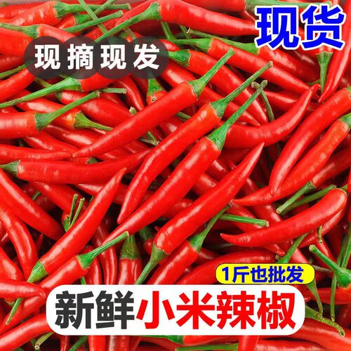 红米椒新鲜特辣小米辣鲜椒朝天椒红辣椒指天椒艳红天香产地直发
