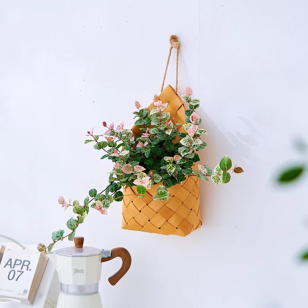 壁挂盆栽墙面装饰植物花叶络石常春藤垂吊型办公室内好养活绿植,鲜花速递/花卉仿真/绿植园艺,绿植,淘宝优惠券,粉丝福利购,淘宝优惠卷