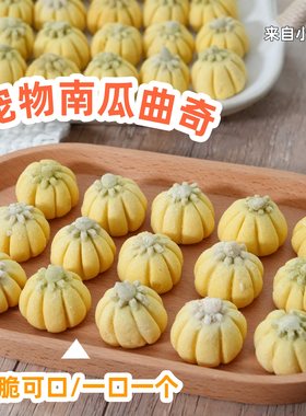 来自小火星宠物零食南瓜曲奇饼干
