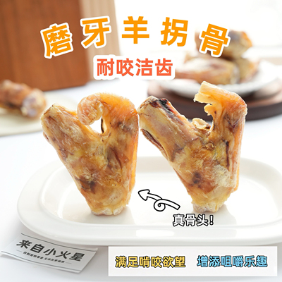 来自小火星小型犬磨牙羊拐骨