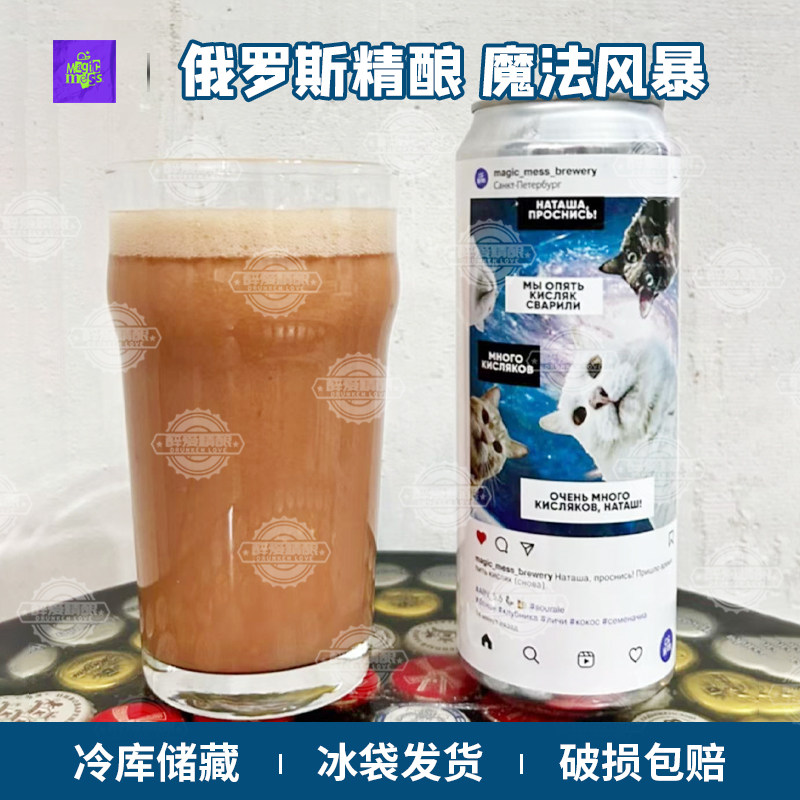 俄罗斯进口魔法风暴猫厂冰沙酸艾尔水果酸艾尔果泥精酿啤酒450ml