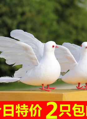 仿真白鸽和平鸽白色鸽子工艺品