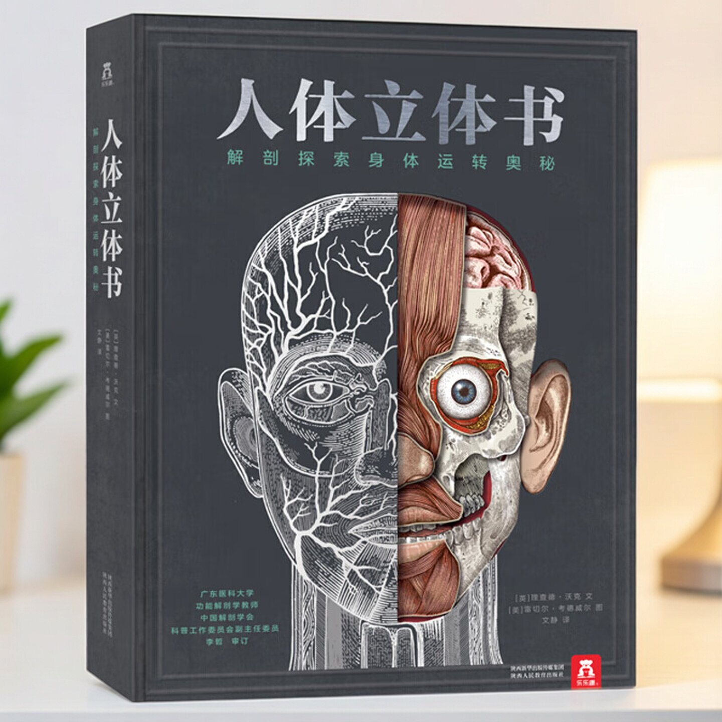 乐乐趣3d科普阅读立体书适读年龄9岁+立体互动设计解剖探索中小学生解析百科培育科学思维人体立体书解剖探索身体运转奥秘探索人体
