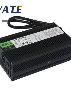 大功率快充12.6V25A充电器 3S 12V锂电池专用 黑色 接头可选 WATE