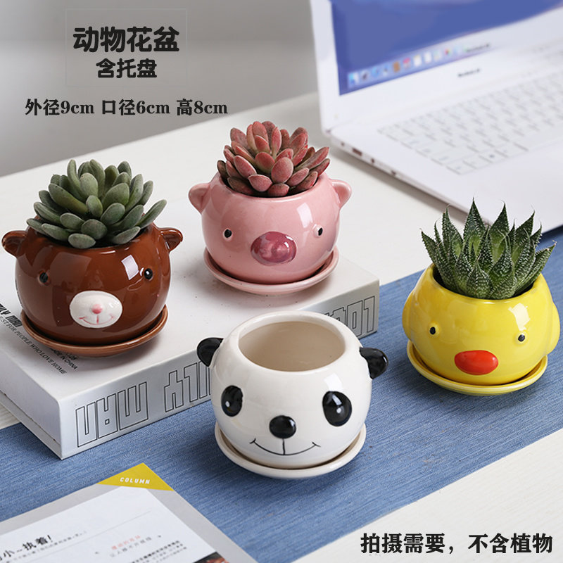 多肉花盆陶瓷动物花盆粗陶植物特价素陶花盆可爱大花盆中小花盆栽