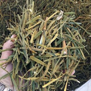 枫树寄生中药材螃蟹脚路路通寄生枫香寄生枫木寄生【药房同售】