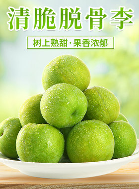 青脆李重庆脆甜可口新鲜水果现摘