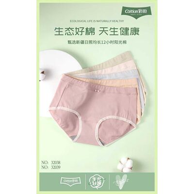 彩田165码棉女士内裤三角裤