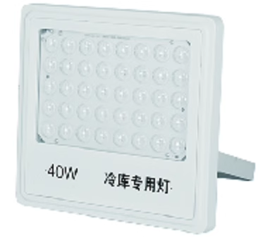 鹰格EAGLED新款冷库专用泛光灯30