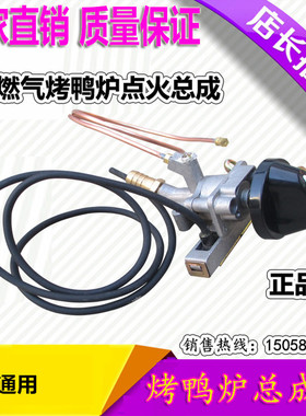 烤鸭炉禽箱打火总成开关通用