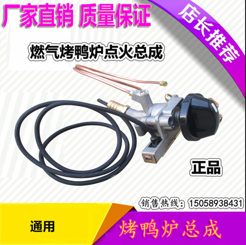 24型燃气烤鸭炉配件 燃气烤禽箱打火总成专用点火器燃气开关通用 - 封面