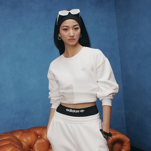 Adidas/阿迪达斯卫衣男子女子秋季新款宽松长袖圆领套头衫JL8384