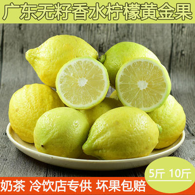 广东无籽香水柠檬黄5斤新鲜奶茶
