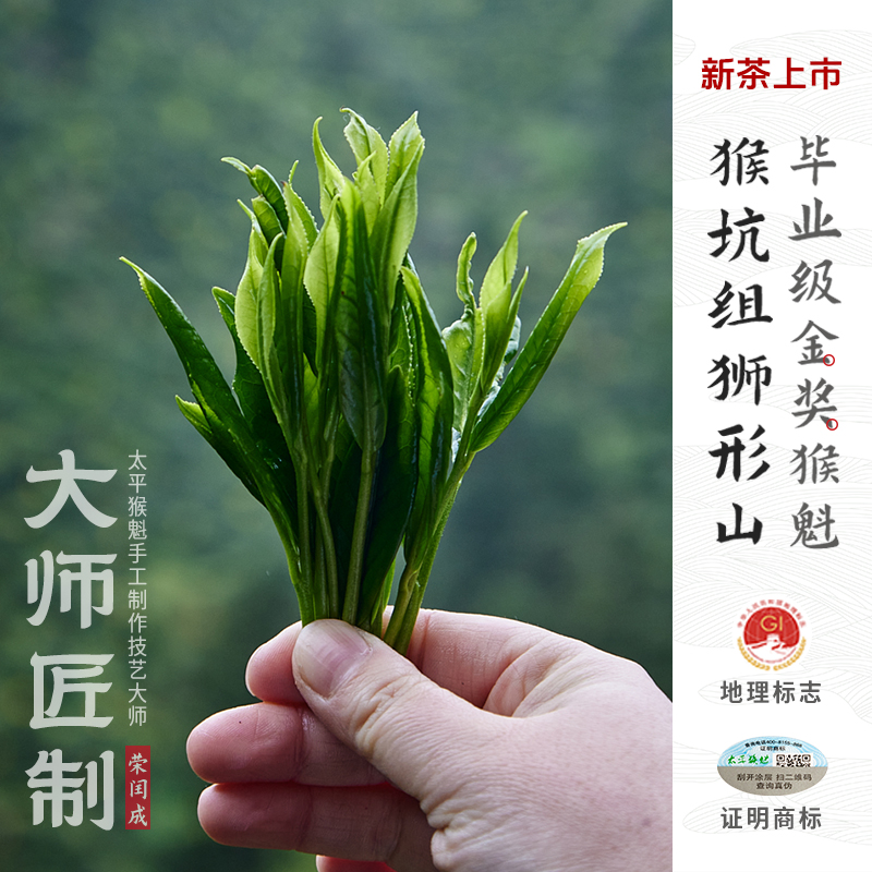 2025新茶上市猴坑組獅形山頭采