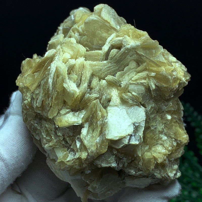 天然黄水晶簇原石黄云母摆件灯照透透的金云母手握石标本h460