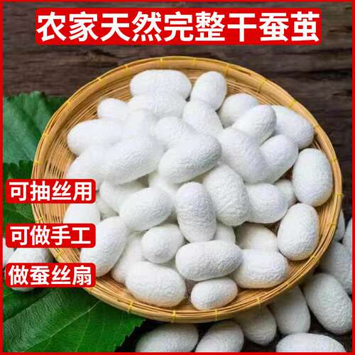 农家自养天然蚕茧完整可抽丝