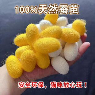 彩色天然干蚕茧可抽丝蚕丝茧彩色蚕茧蚕丝线蚕完整猫咪玩具干茧壳